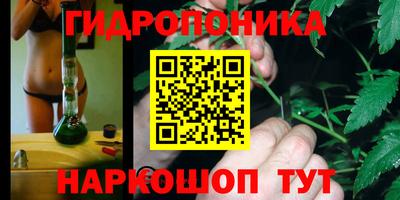 трава Ачхой-Мартан