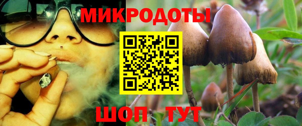Псилоцибиновые грибы мицелий  Вход с VPN  Родники 